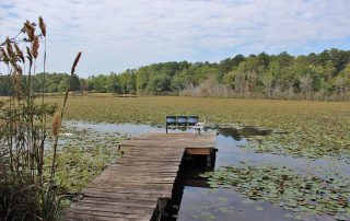 north florida rehab programs