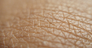 Closeup of skin